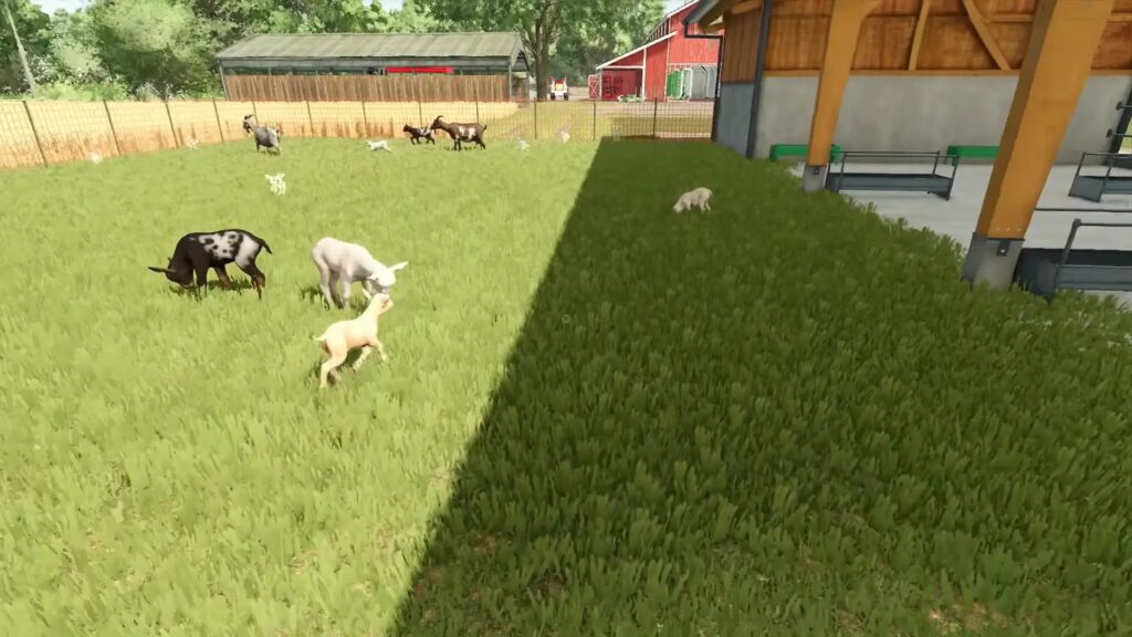 Farming Simulator 25- Goats & Sheep